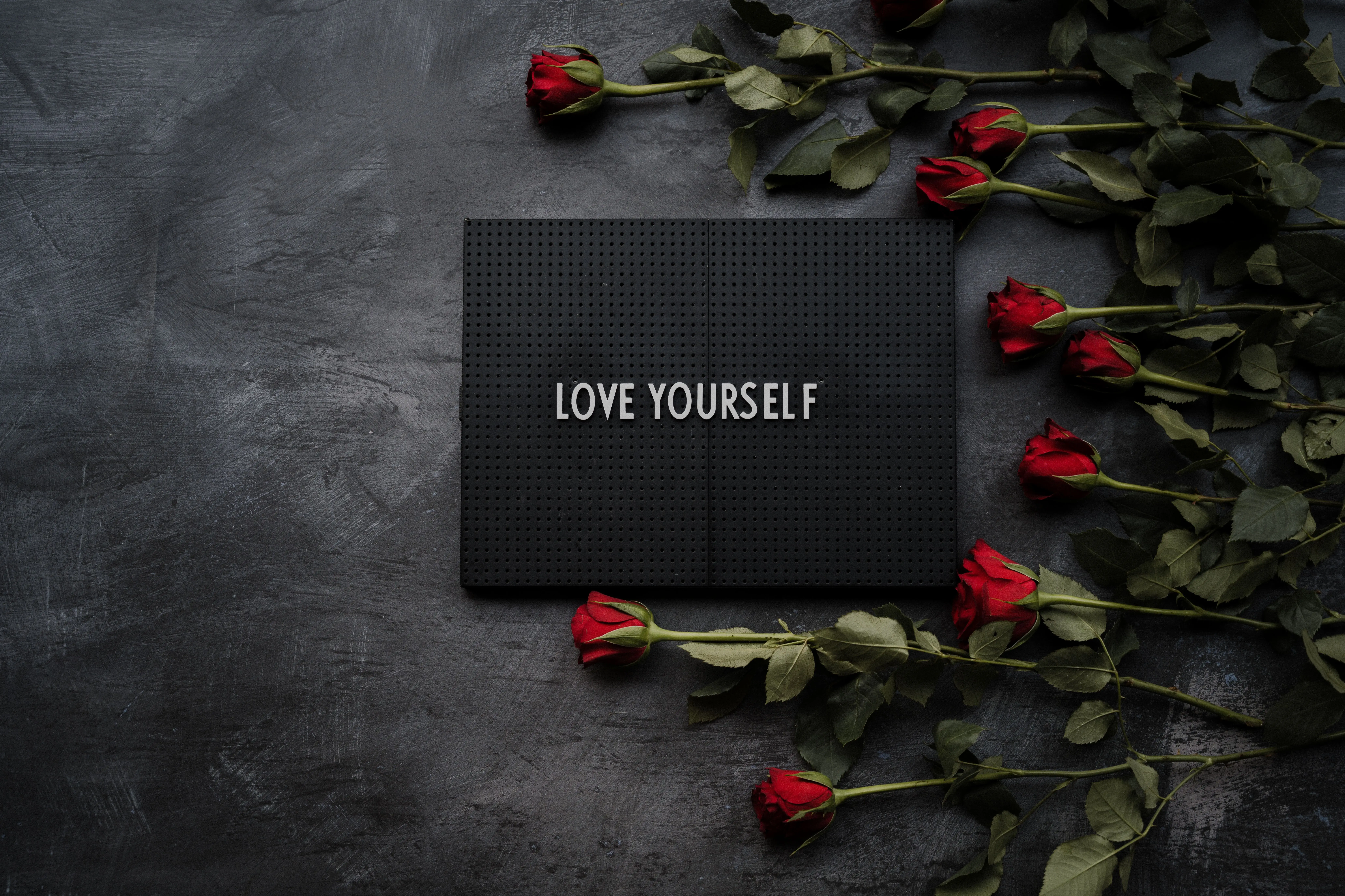 Image credit: Unsplash | Annie Spratt