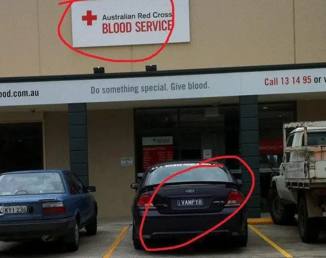 Image credit: Reddit | crypticaldude