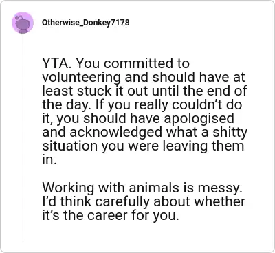 Image credit: Otherwise_Donkey7178 | Otherwise_Donkey7178