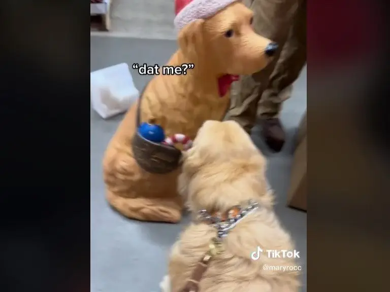 Image credit: TikTok | @maryrocc
