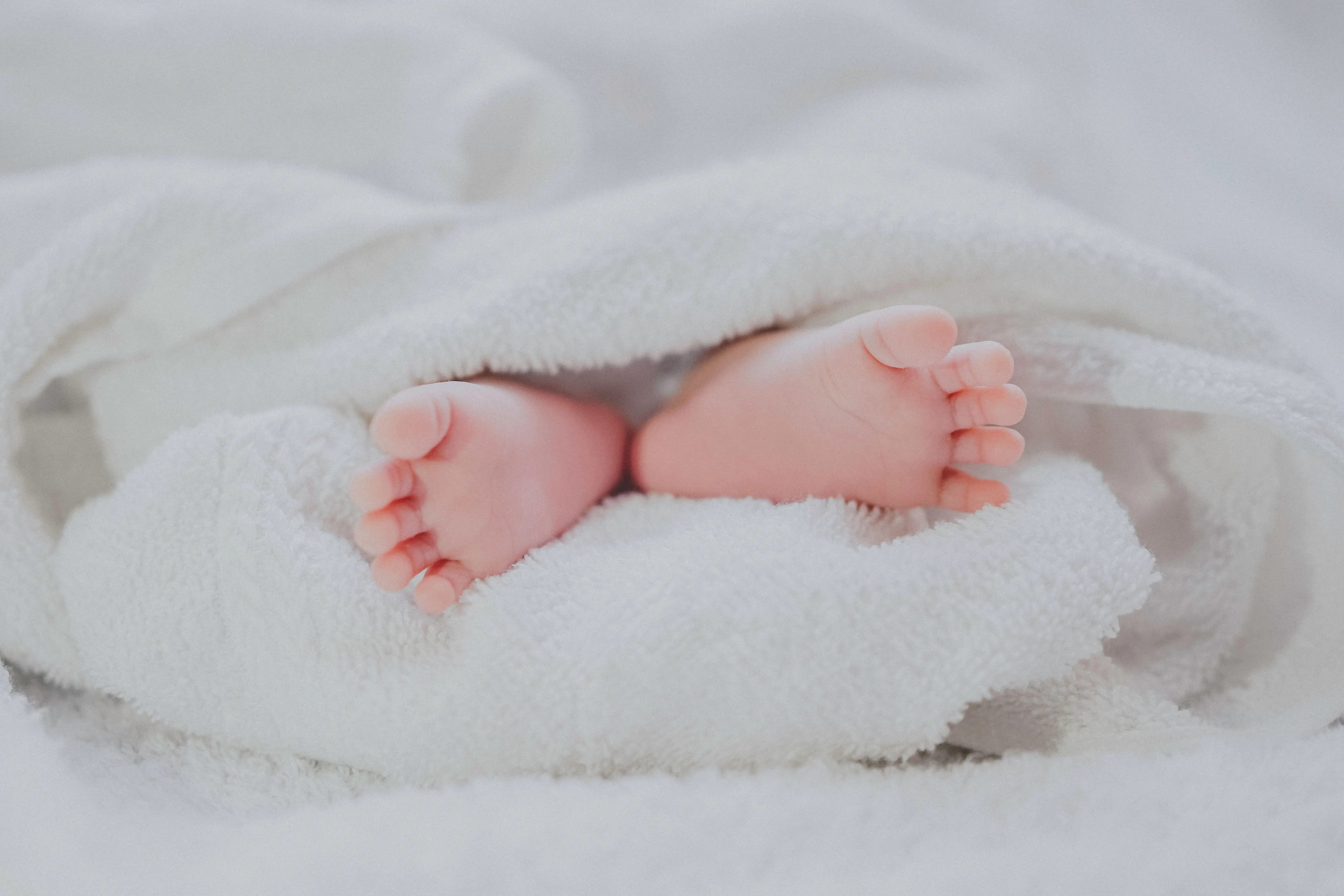 Image credit: Unsplash | Fé Ngô