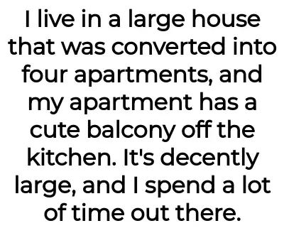 Image credit: apartmentroublee | apartmentroublee