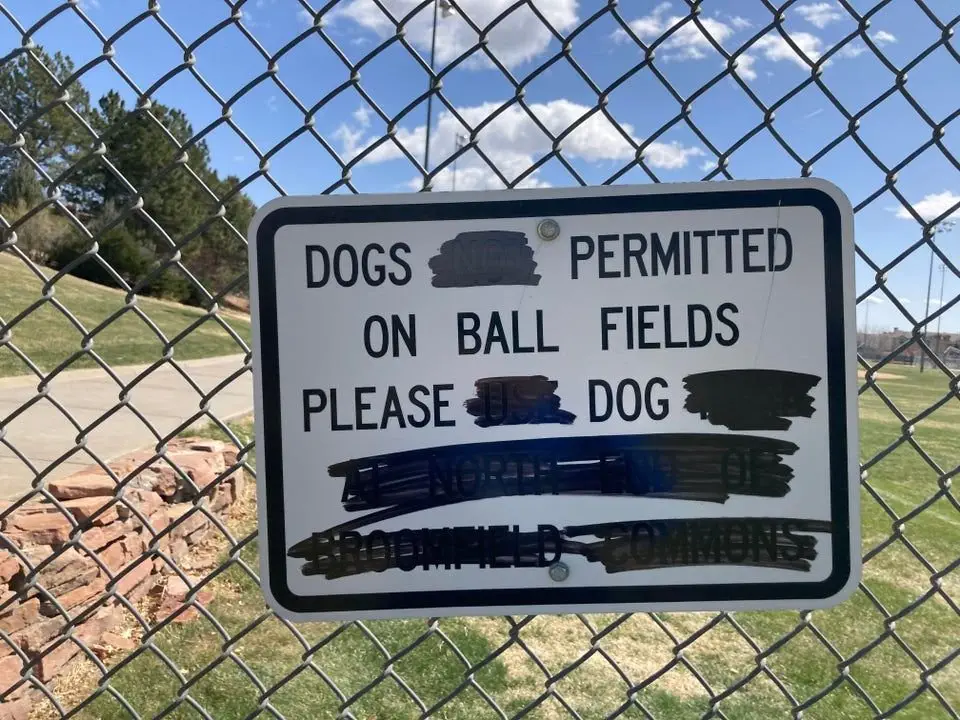 Image credit: reddit | zanedof
