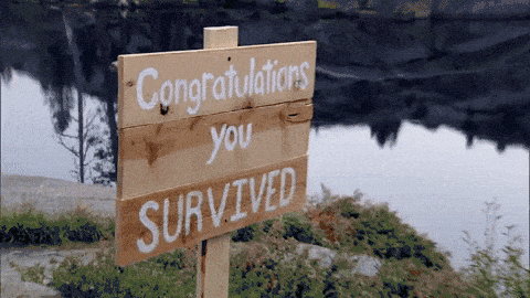 Image credit: Giphy | The Bachelor