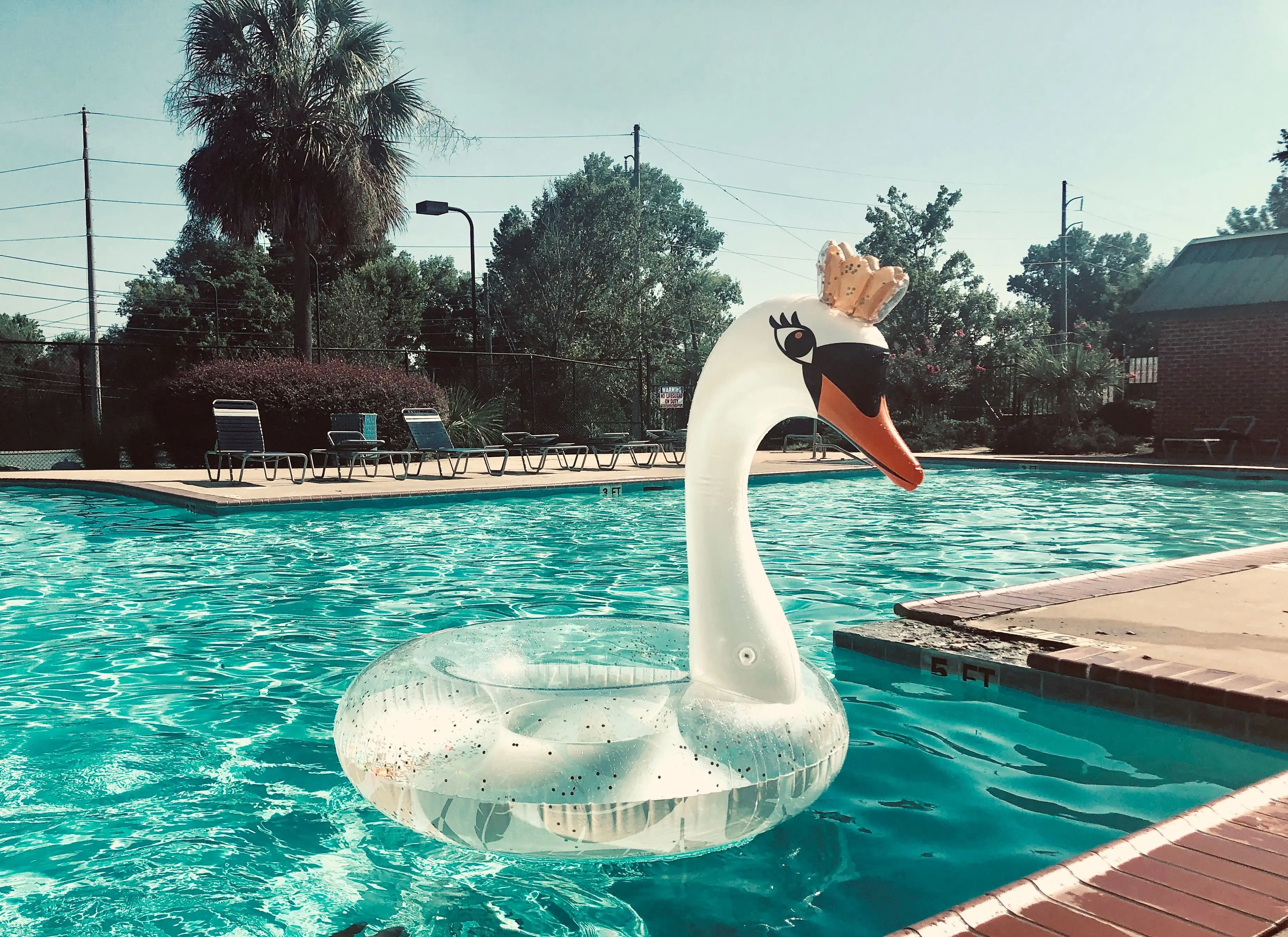 Image credit: Unsplash | Natasha Connell