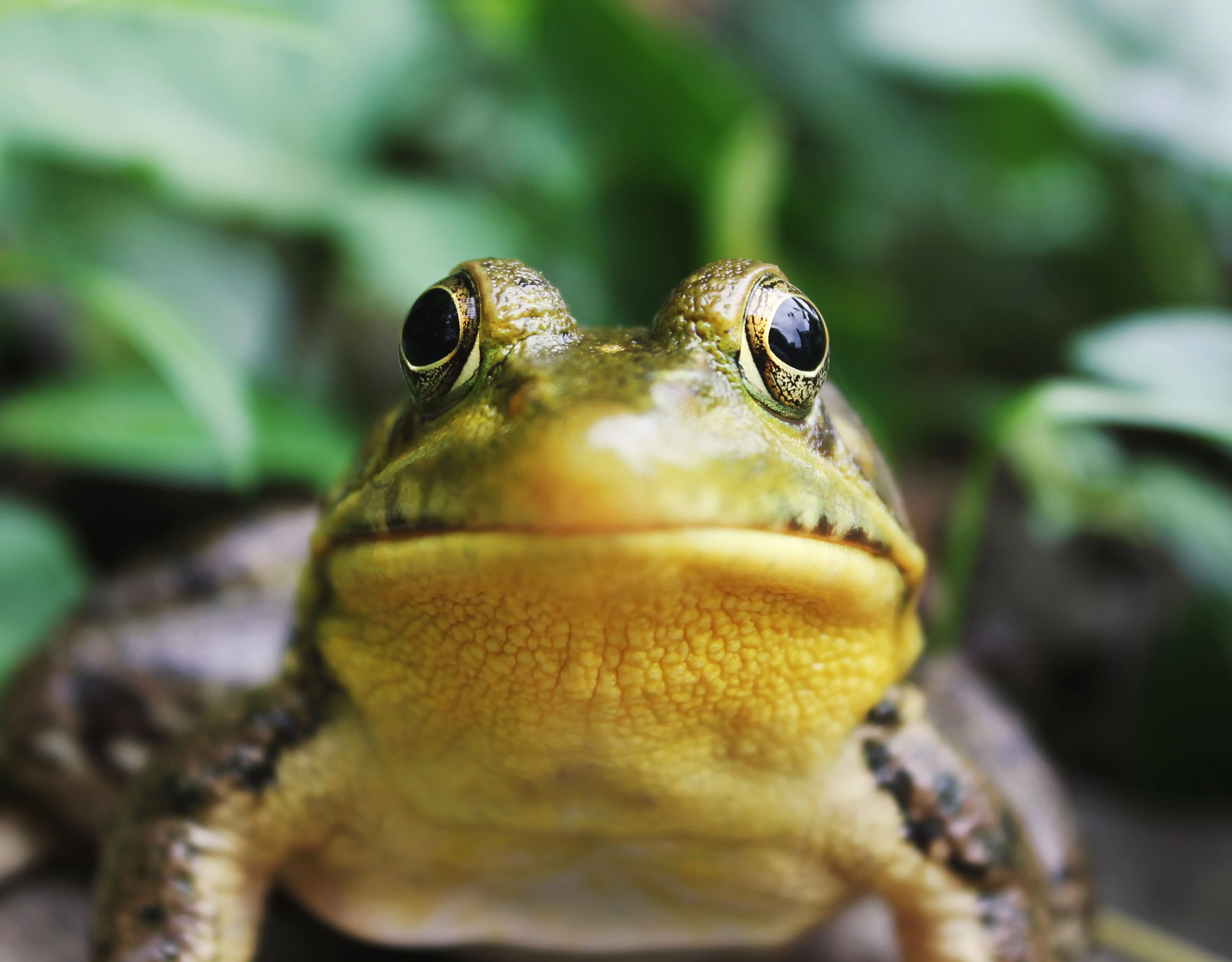 Image credit: Unsplash | Jack Hamilton