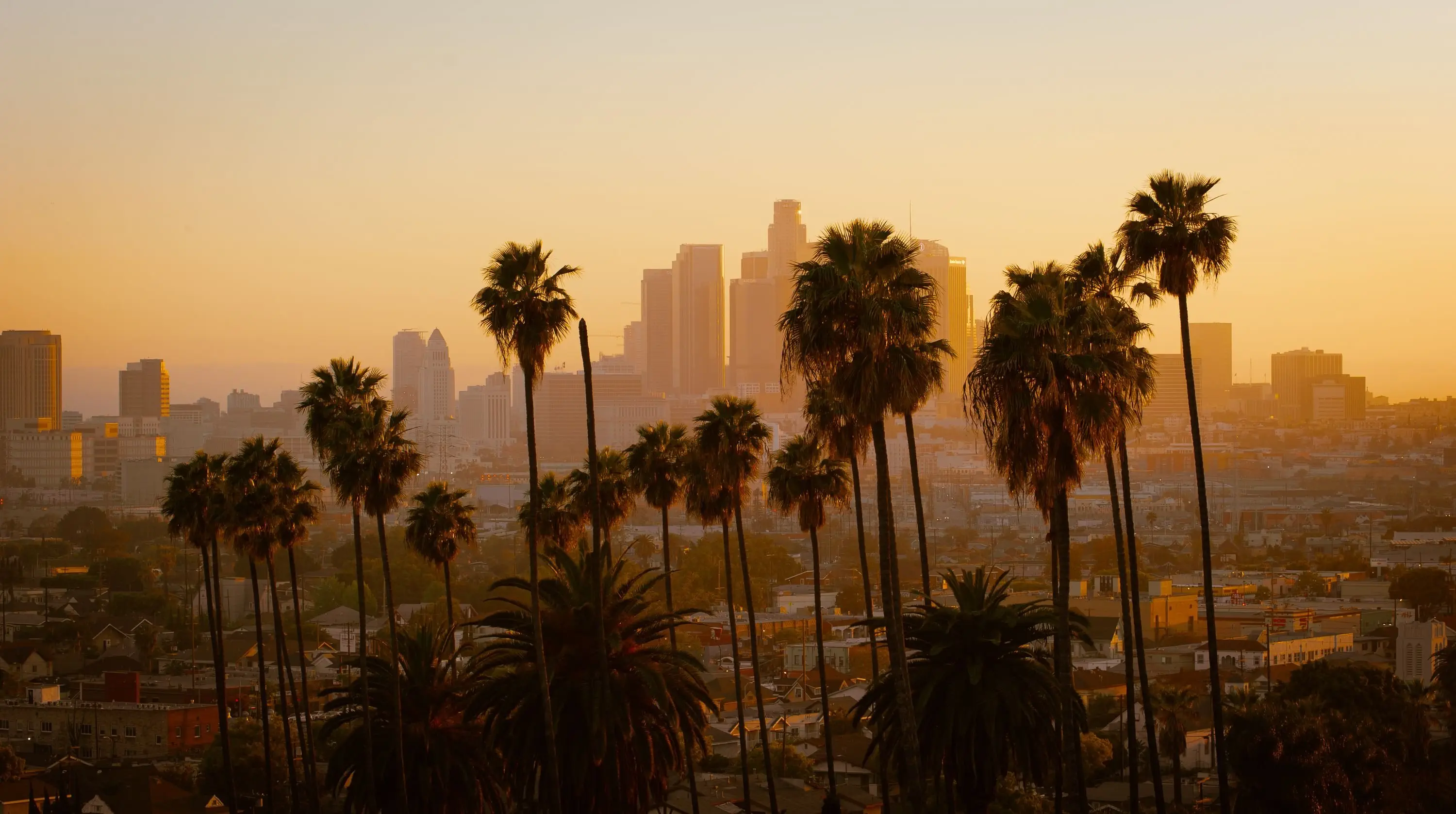 Image credit: Unsplash | Cedric Letsch