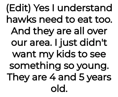 Image credit: bnnuy-dad44 | bnnuy-dad44