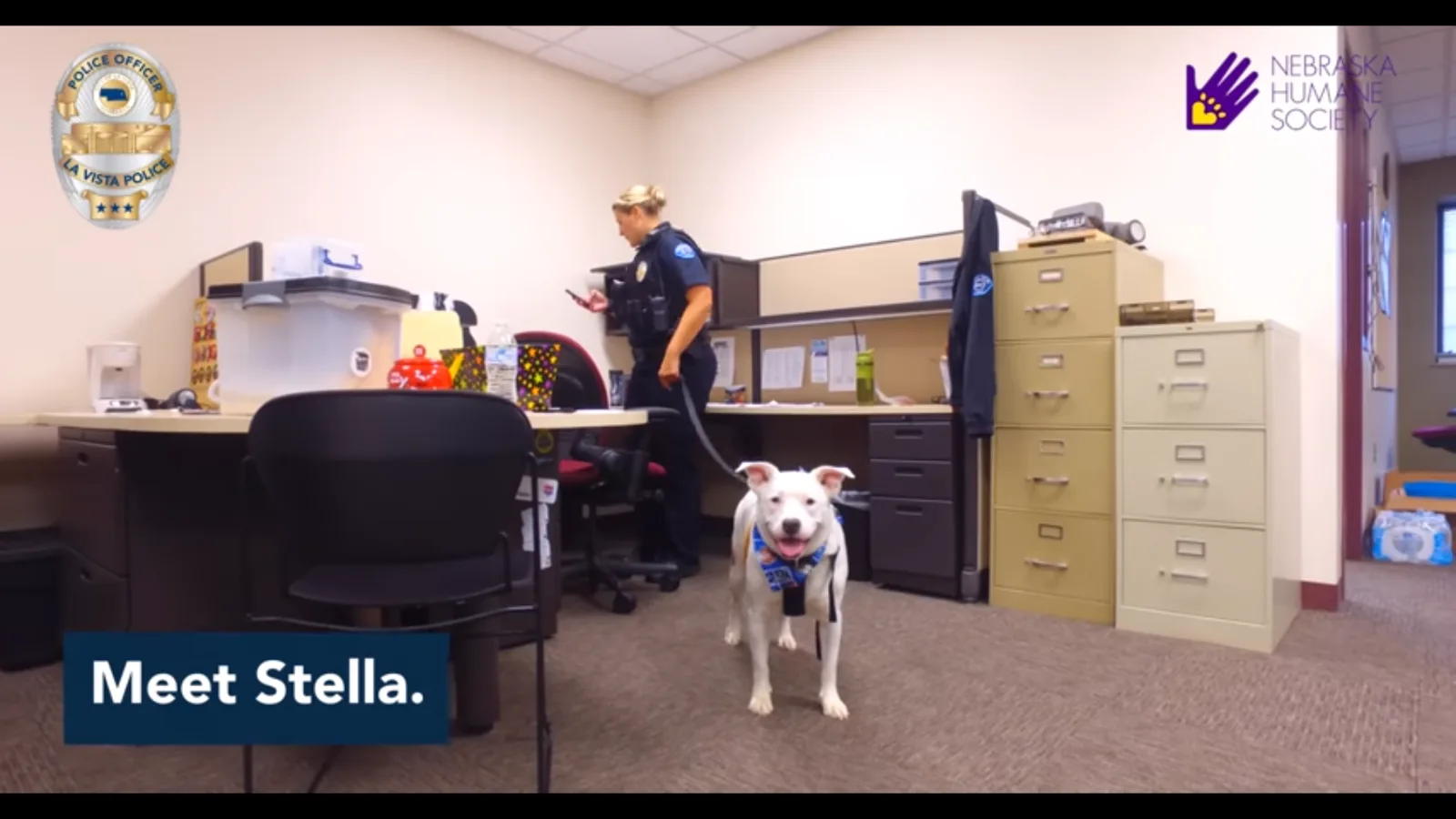 Image credit: YouTube | citylavista