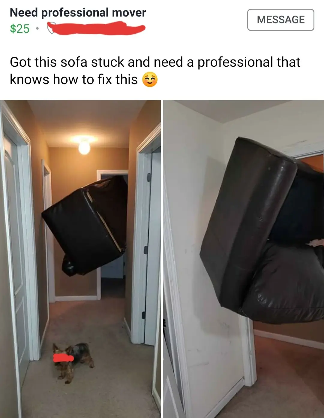 Image credit: Reddit | AltF0