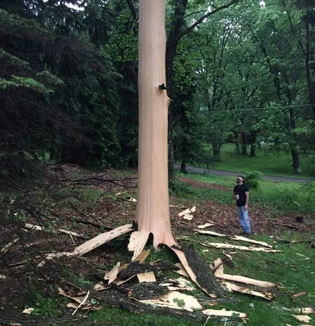 Image credit: Reddit | tilltheend0ftime