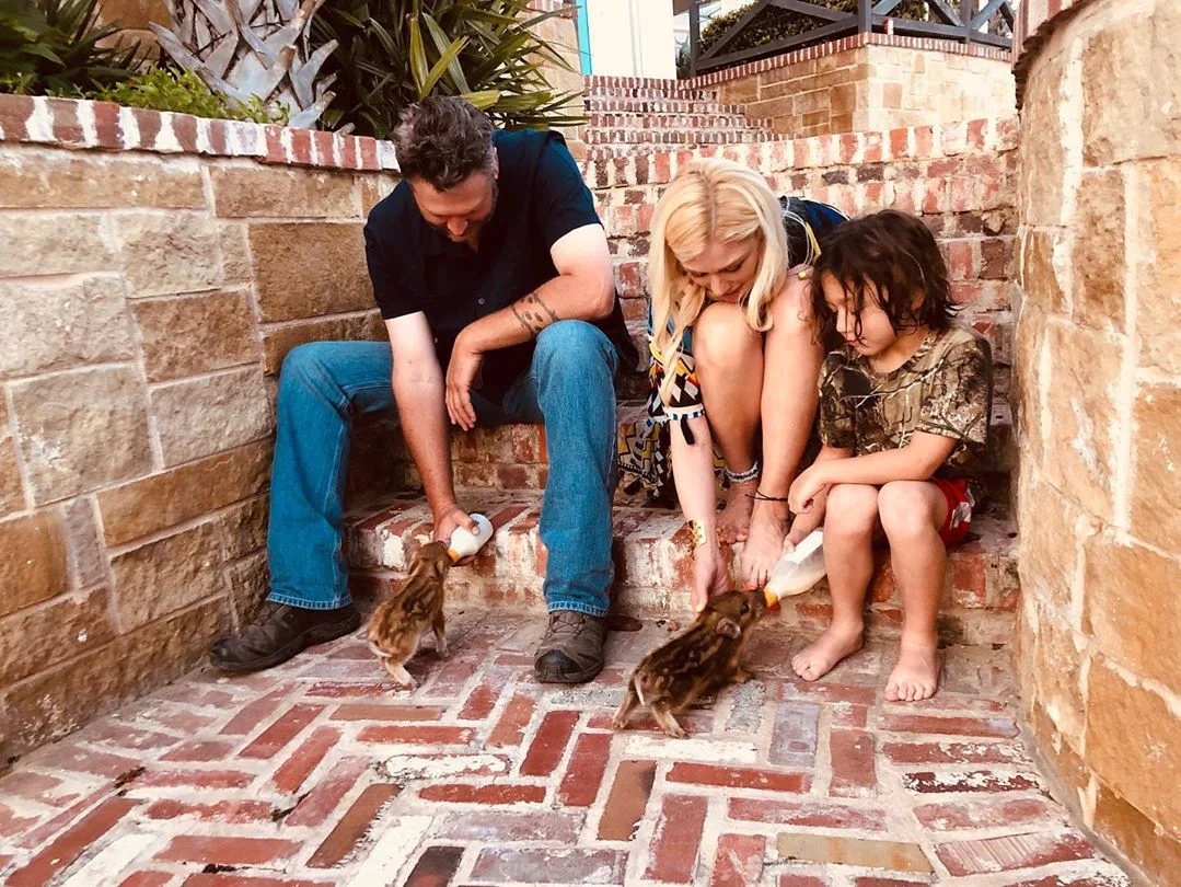 Image credit: Instagram | @gwenstefani