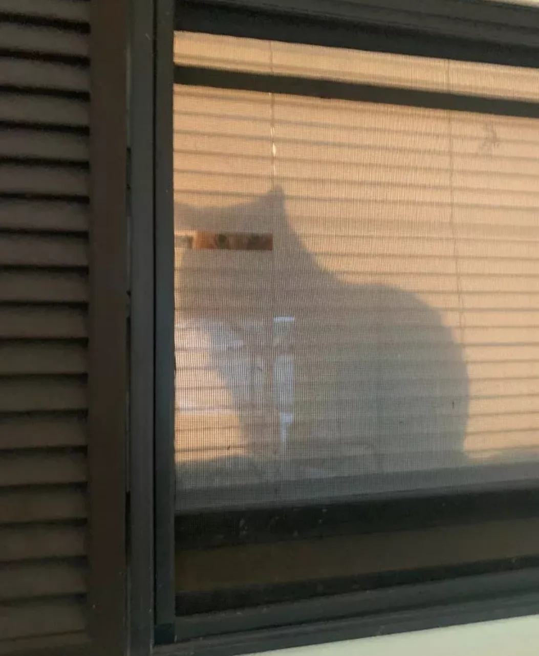 Image credit: Reddit | cbugg