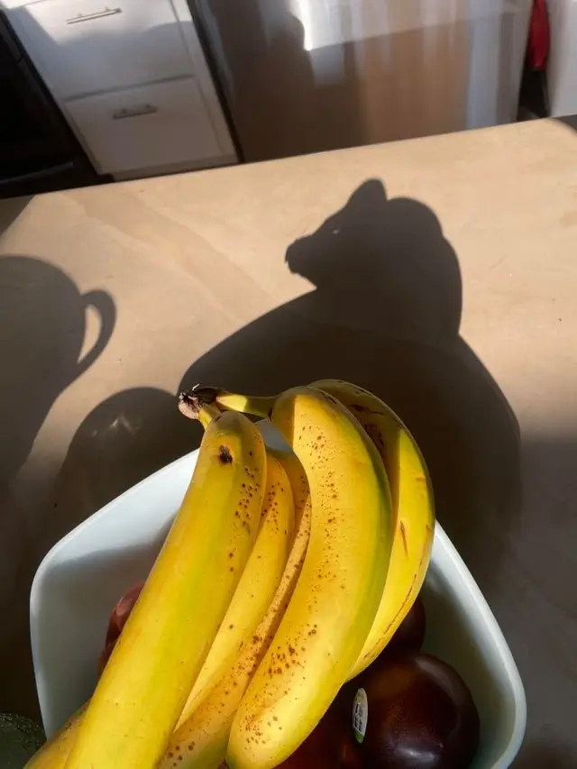 Image credit: Reddit | ILikePotatoesNotYams