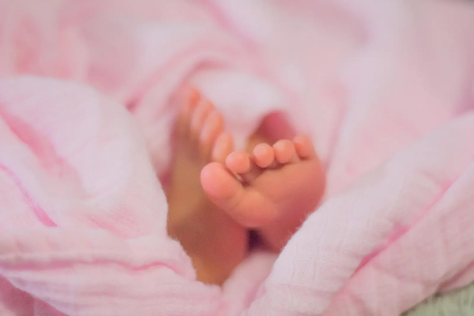 Image credit: Unsplash | Bonnie Kittle