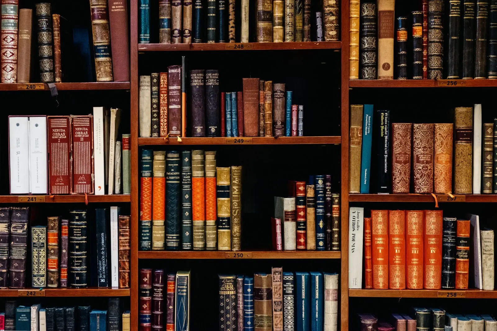 Image credit: Unsplash | Iñaki del Olmo