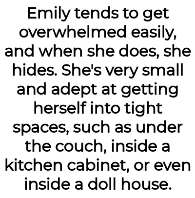 Image credit: fosterdaughtertent | fosterdaughtertent