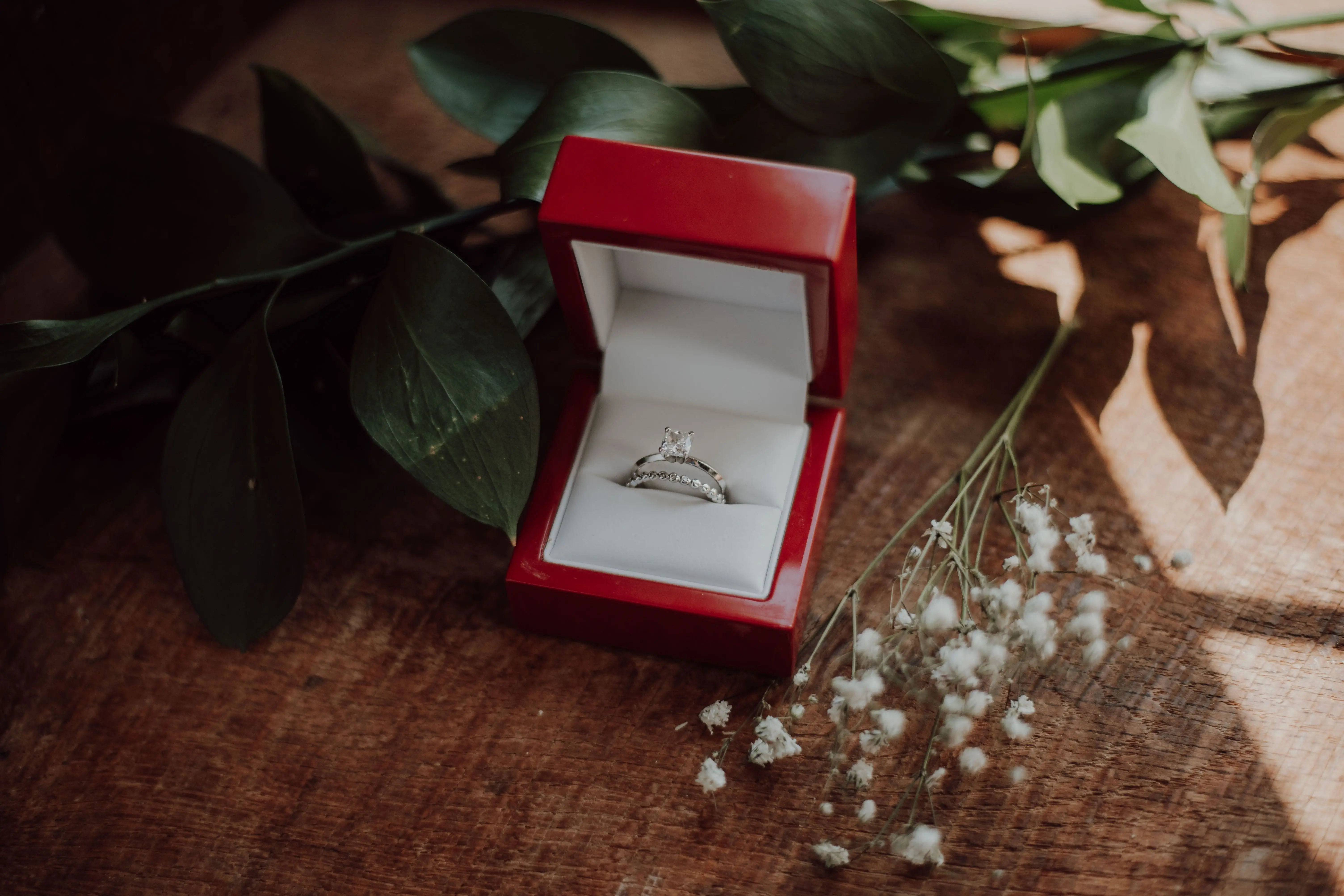 Image credit: Unsplash | Katelyn MacMillan