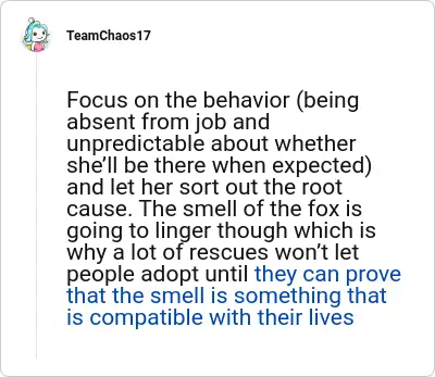 Image credit: TeamChaos17 | TeamChaos17