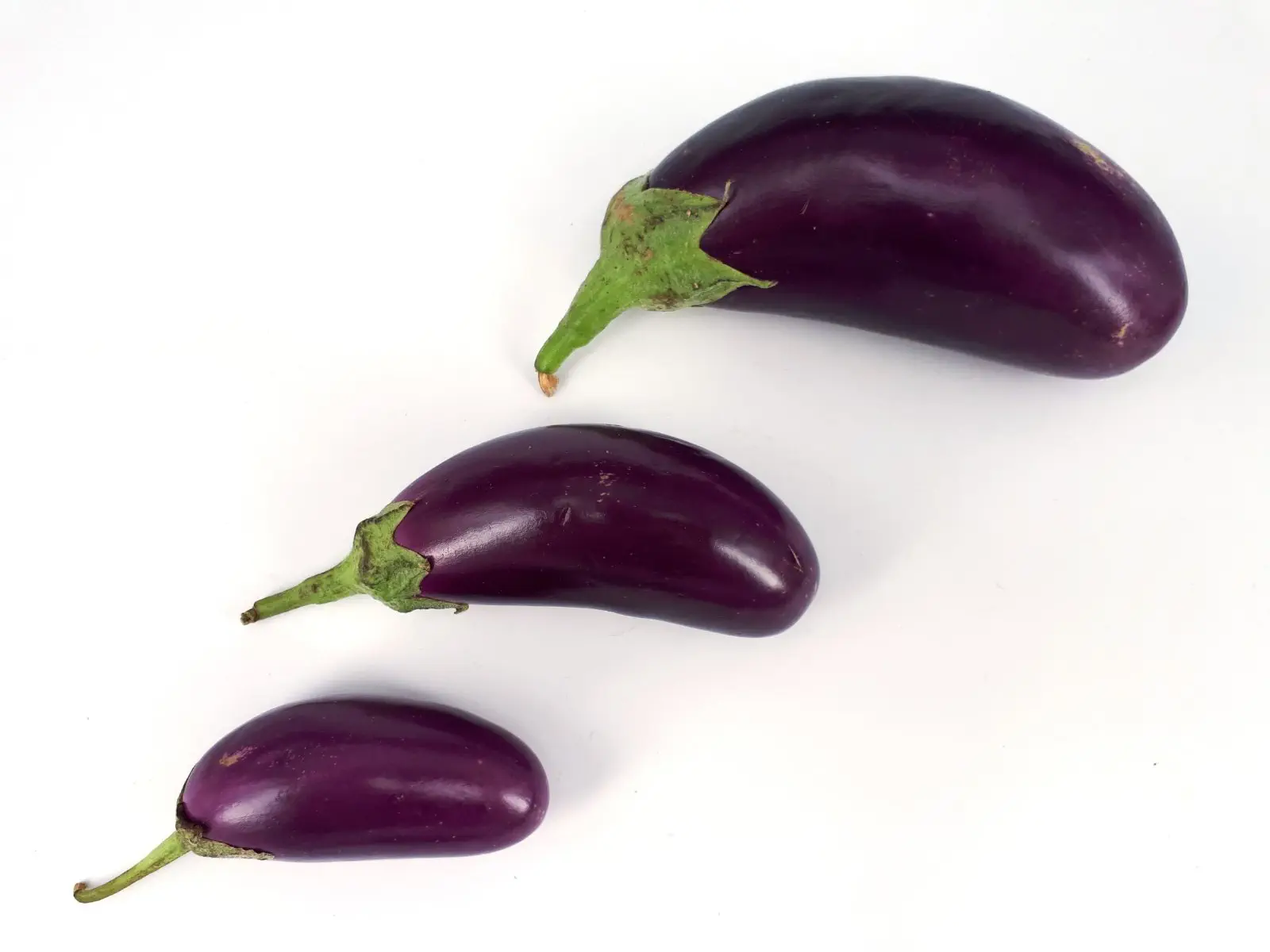 Image credit: https://diplycom5cc47.zapwp.com/q:i/r:0/wp:1/w:1/u:https://commons.wikimedia.org/wiki/File:3_x_Small_Japanese_eggplant_2017_A.jpg