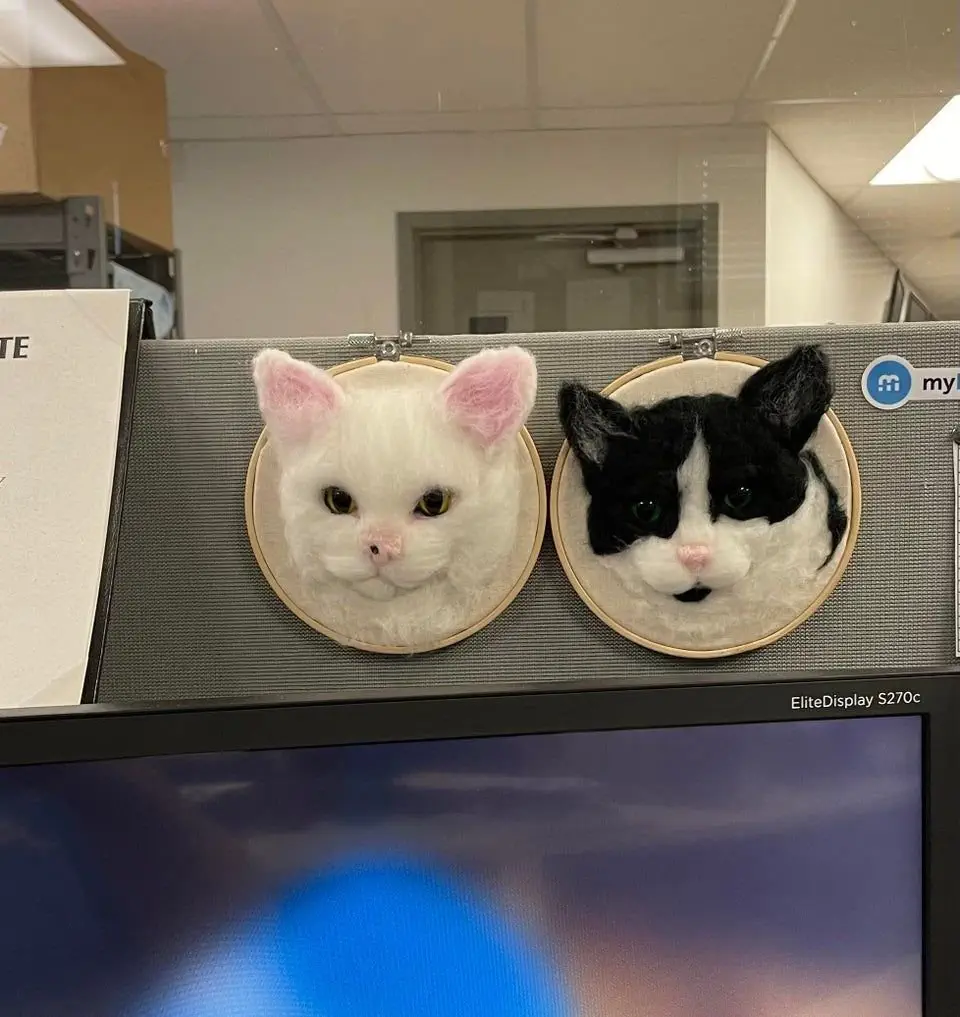 Image credit: reddit | Sensual_Pudding
