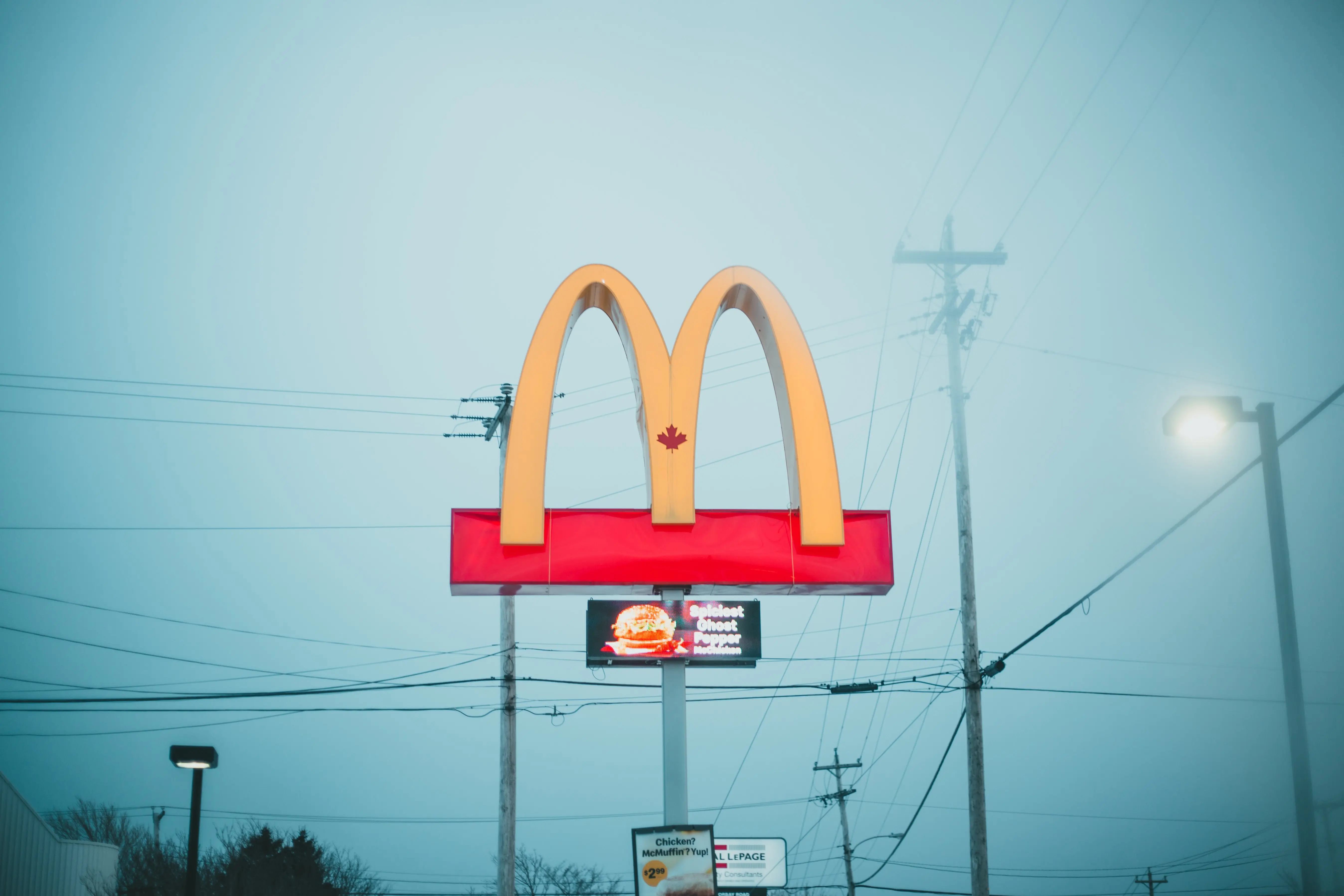 Image credit: Unsplash | Erik Mclean