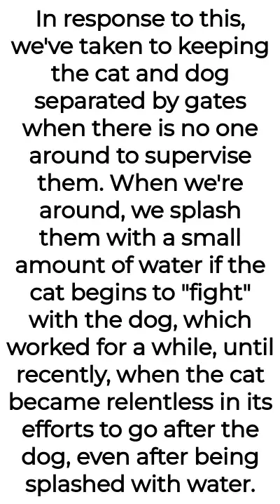 Image credit: both_refrigerator239 | both_refrigerator239