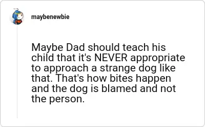 Image credit: maybenewbie | maybenewbie