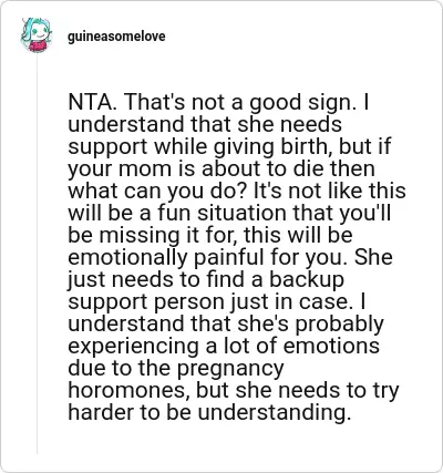 Image credit: guineasomelove | guineasomelove
