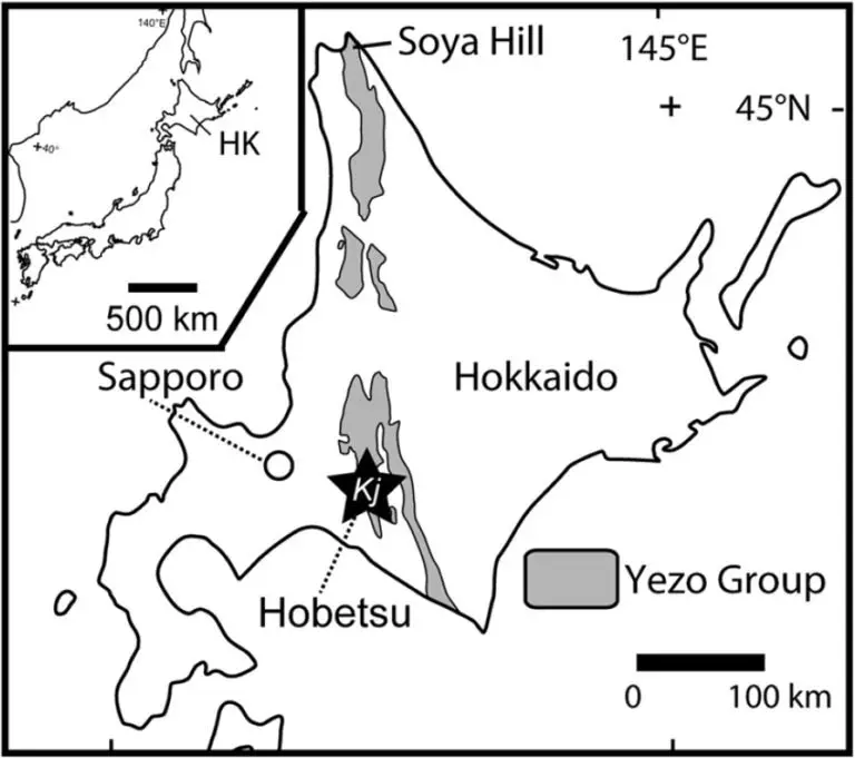 Image credit: Scientific Reports | Kobayashi Y., et al