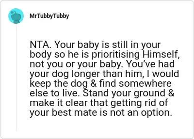 Image credit: MrTubbyTubby | MrTubbyTubby