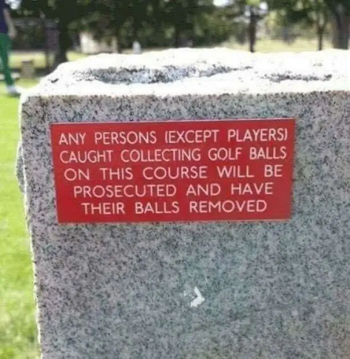Image credit: Reddit l Firescwirt