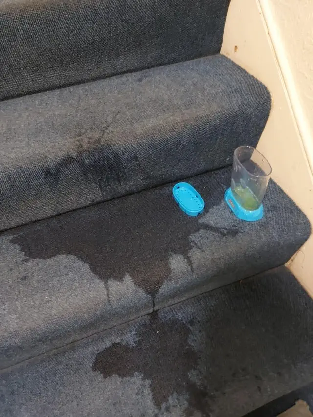 Image credit: Reddit | egggler