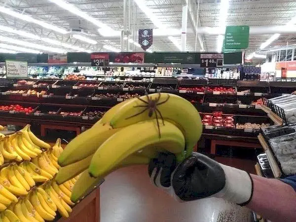 Image credit: Reddit | basshead541
