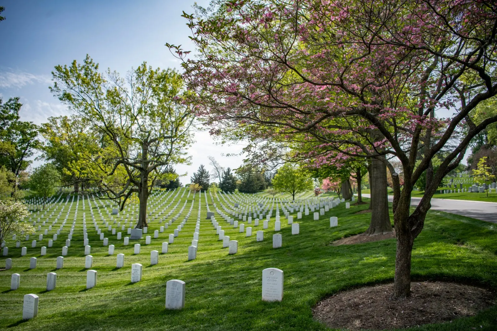 Image credit: Flickr | Arlington National Cemetery