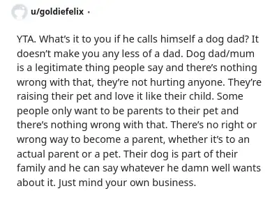 Image credit: goldiefelix | goldiefelix