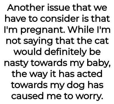 Image credit: both_refrigerator239 | both_refrigerator239