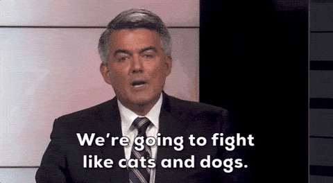 Image credit: Giphy | Election 2020