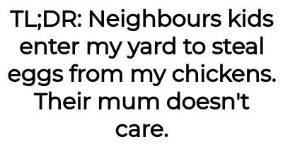 Image credit: ta_neighbours | ta_neighbours