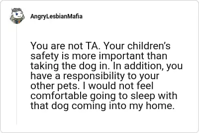 Image credit: AngryLesbianMafia | AngryLesbianMafia