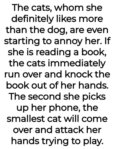 Image credit: fun_musician7863 | fun_musician7863