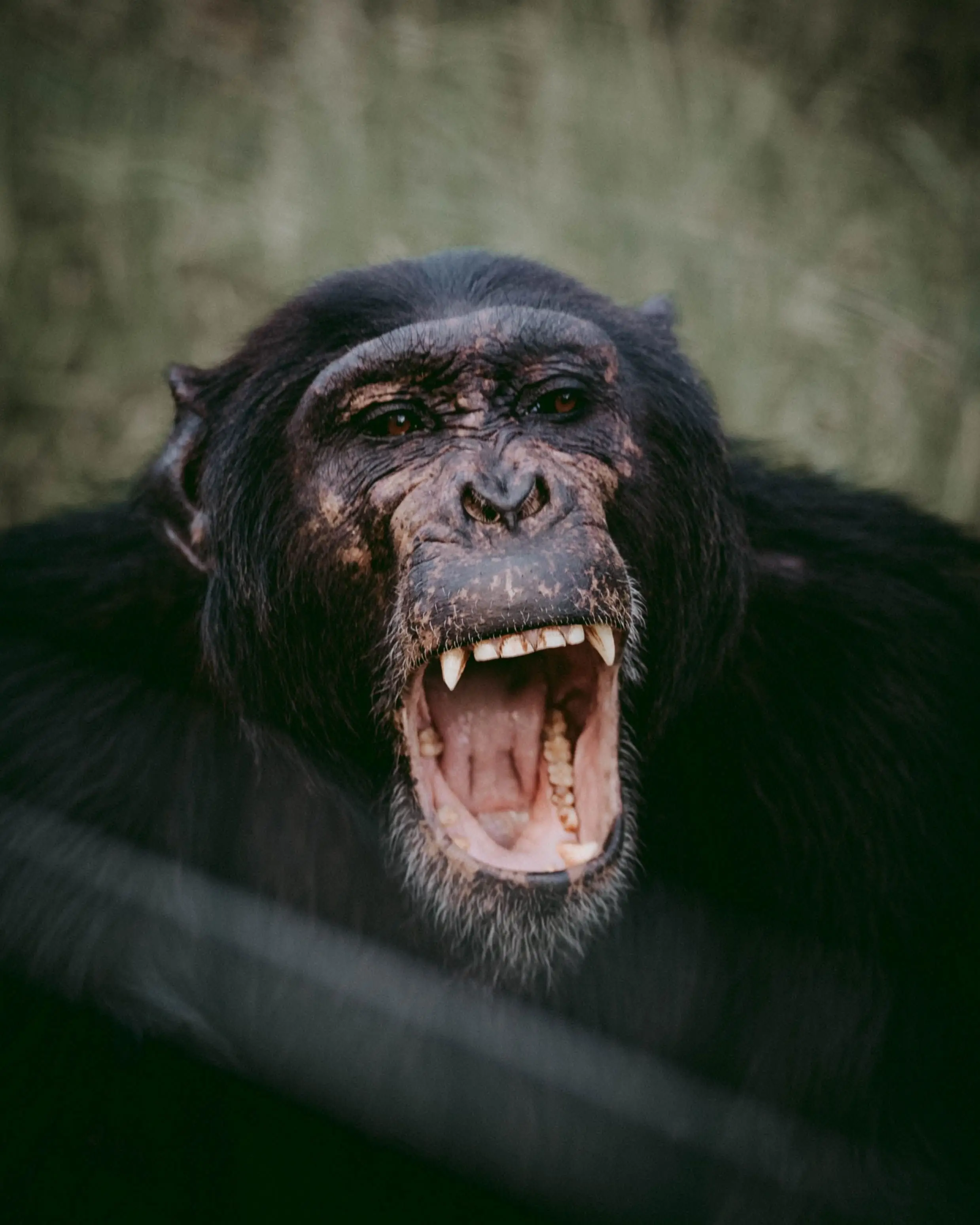 Image credit: Unsplash | mwangi gatheca