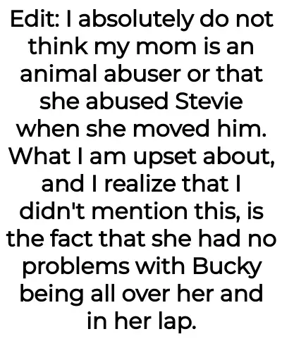 Image credit: proudaffurmama1 | proudaffurmama1
