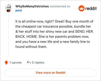 Image credit: WhySoManyOstriches | WhySoManyOstriches