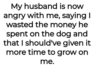 Image credit: puppyproblem129261 | puppyproblem129261