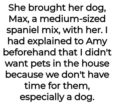 Image credit: sickofamysdog-aita | sickofamysdog-aita