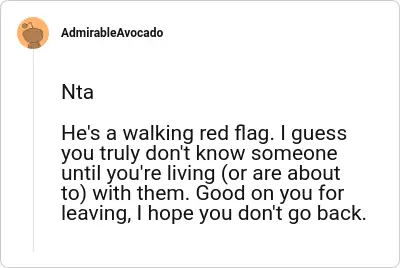 Image credit: AdmirableAvocado | AdmirableAvocado
