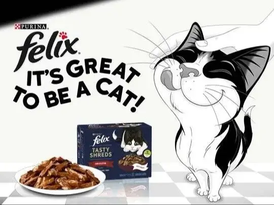 Image credit: Purina | Purina Felix
