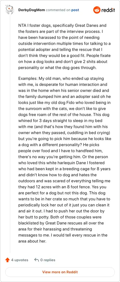 Image credit: DerbyDogMom | DerbyDogMom