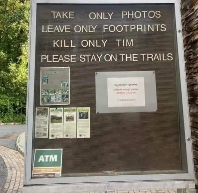 Image credit: Reddit | WrongWayCorrigan-361